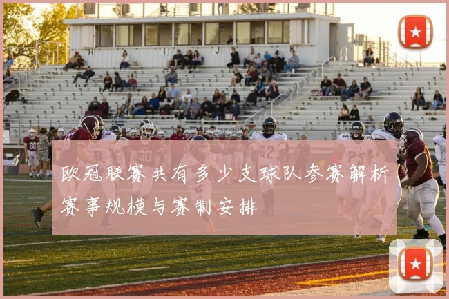 欧冠联赛共有多少支球队参赛解析赛事规模与赛制安排