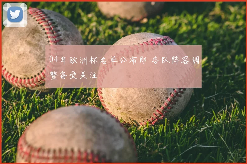 04年欧洲杯名单公布即 各队阵容调整备受关注